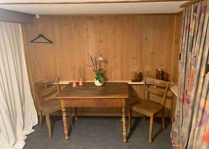 Σαλέ Swiss Mountain *