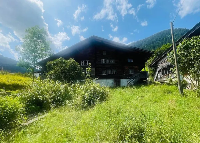 Swiss Mountain *
