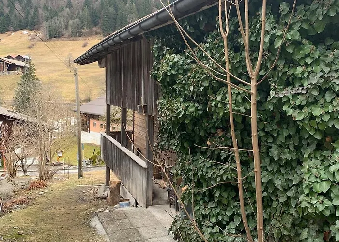 Σαλέ Swiss Mountain *